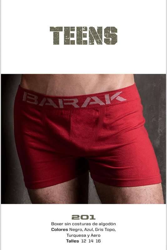 Boxer Nino  t.12-14 x3